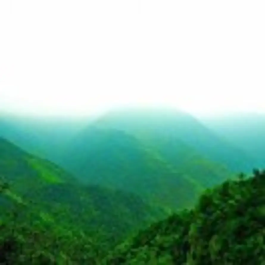 李福华的头像