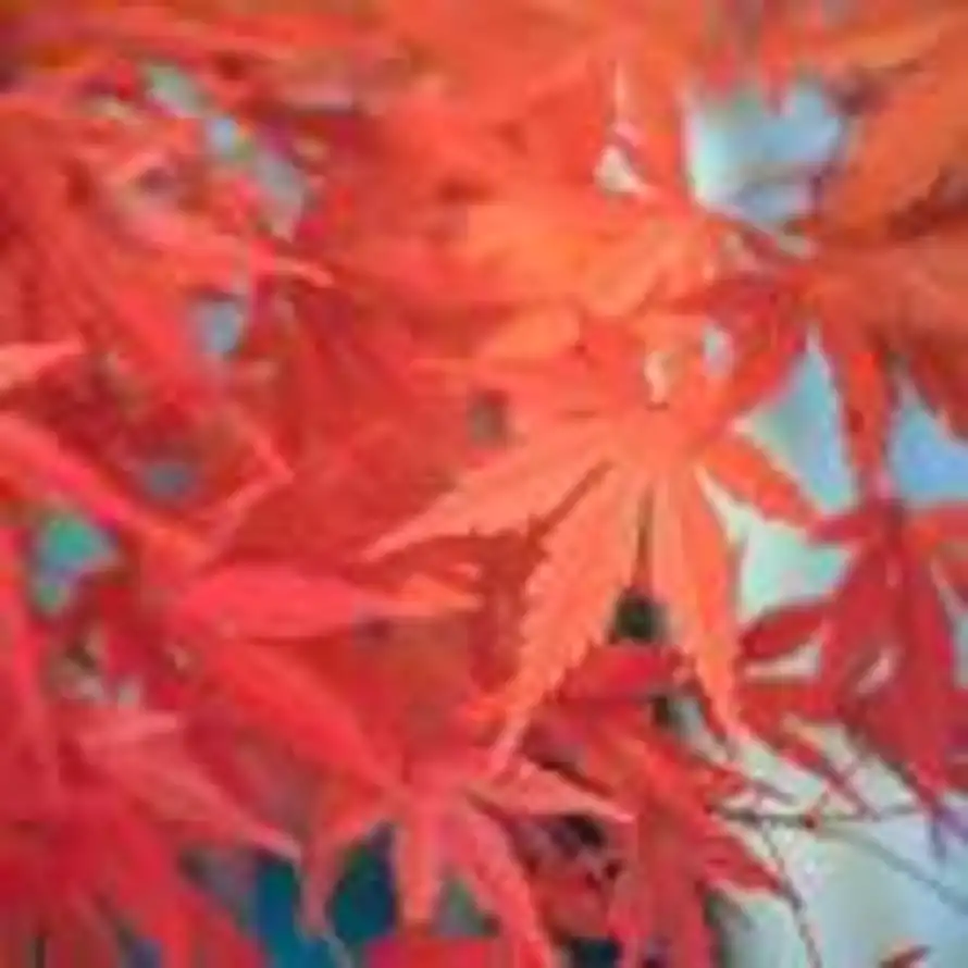宇的头像
