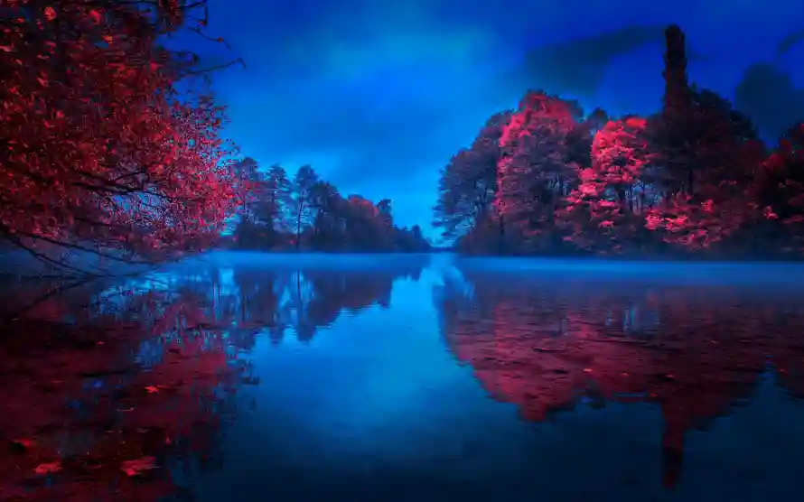 4k倒影壁纸 - 夜景 - 宁静 - 湖景「哲风壁纸」