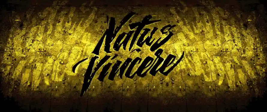 4kcs壁纸 - csgo - NAVI - 反恐精英「哲风壁纸」
