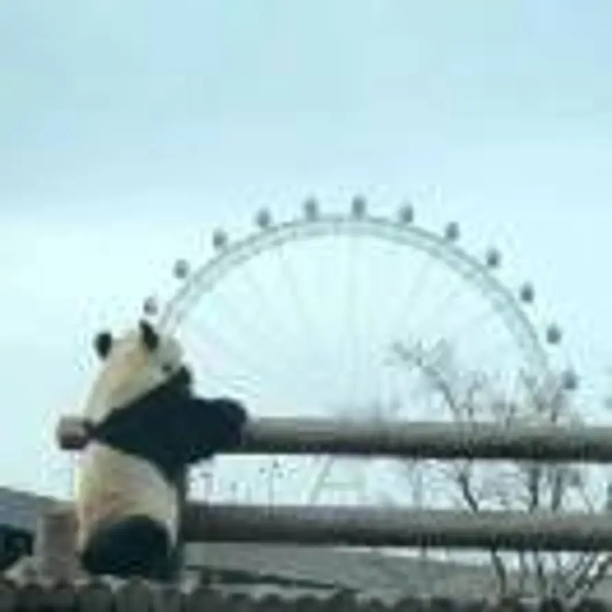 π的头像