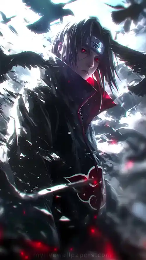 Favorite Image