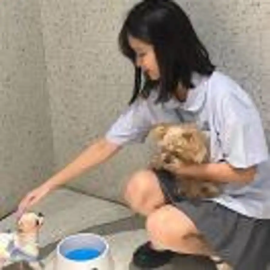 🥣🧸的头像
