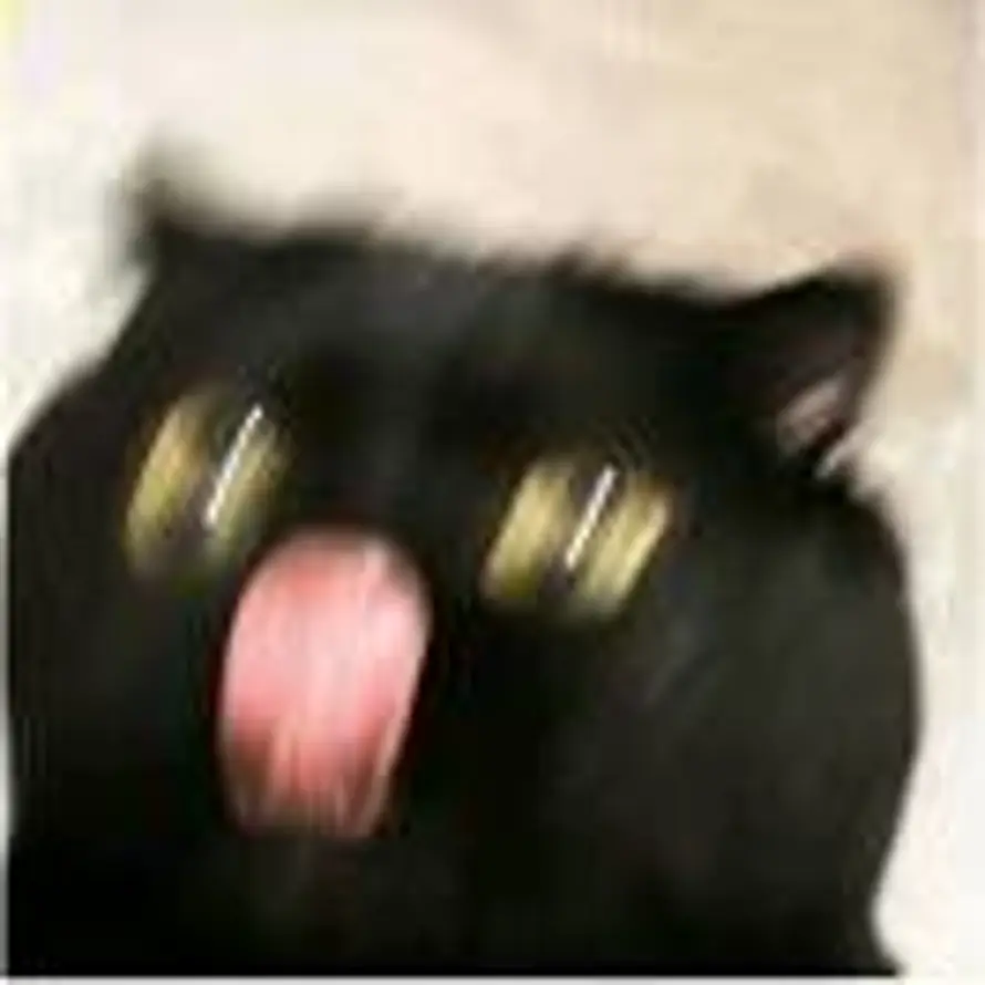 0Oᐝ的头像