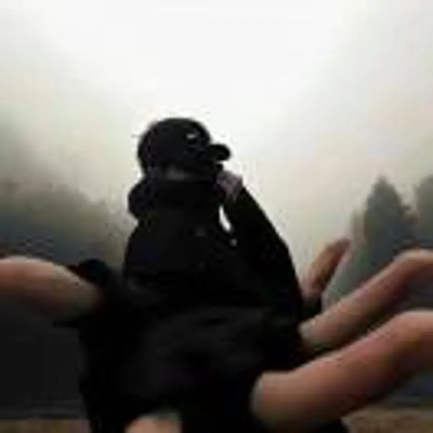 熵帝.󰠇的头像