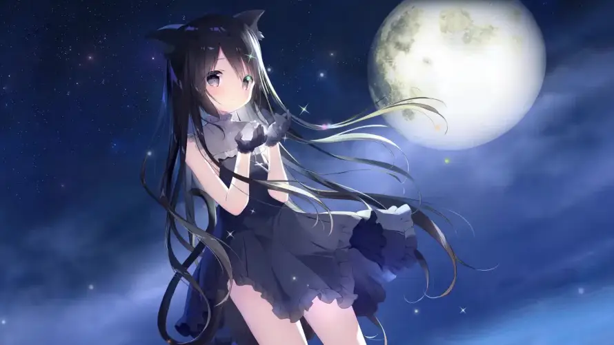Favorite Image