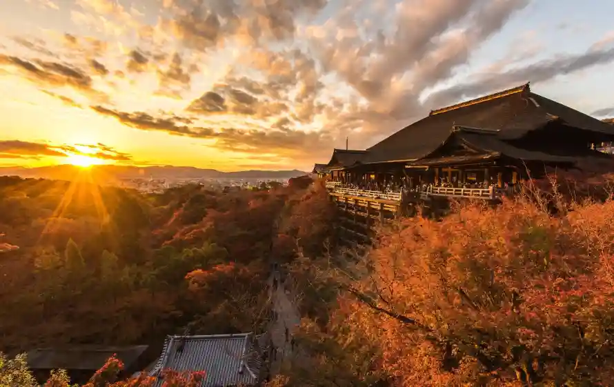 4k夕阳壁纸 - 秋景 - 红叶 - 黄昏「哲风壁纸」