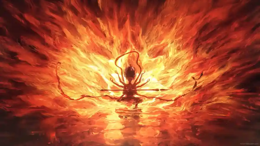 Favorite Image