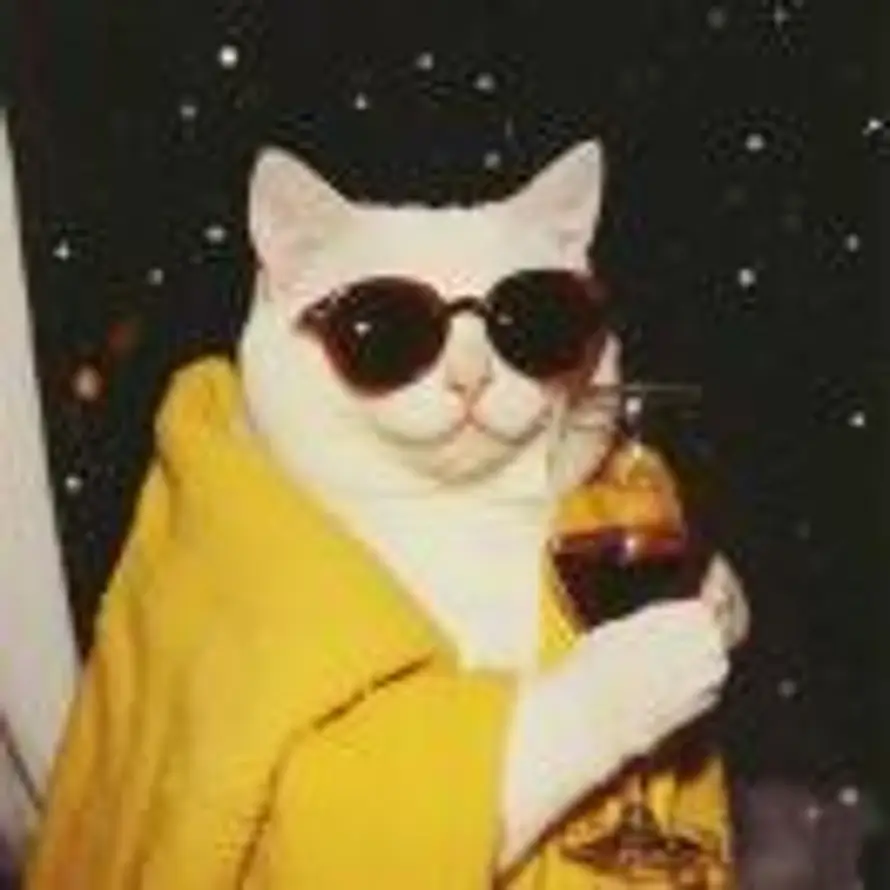 (=￣ω￣=)　猫大叔的头像