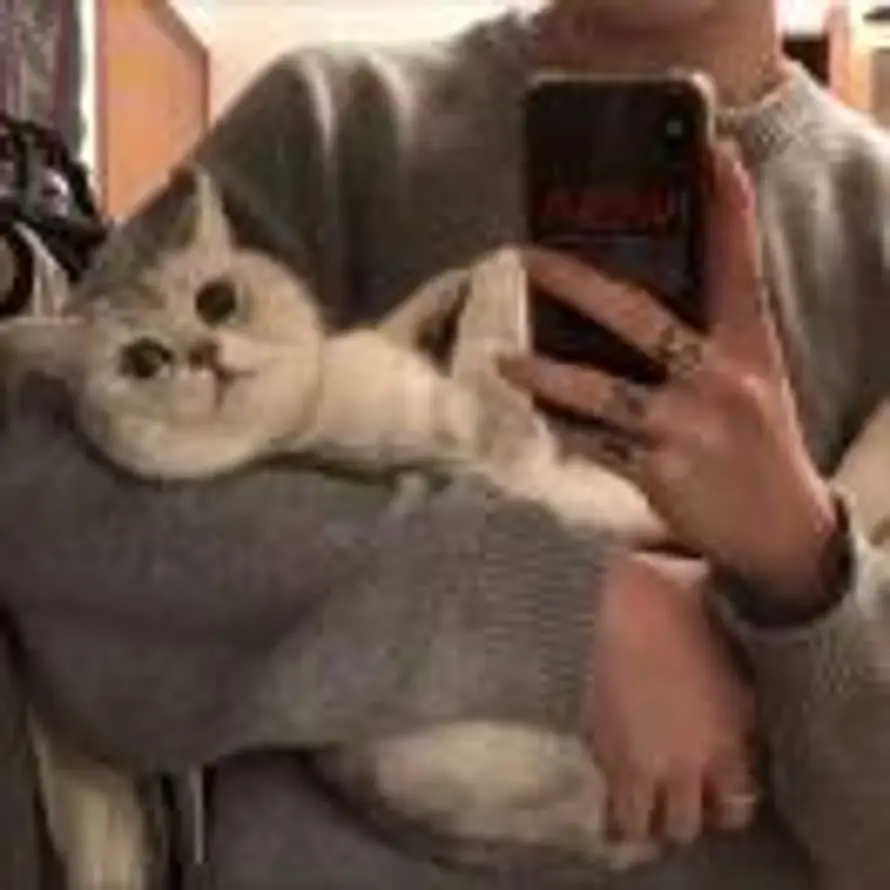 Mr.Tang的头像