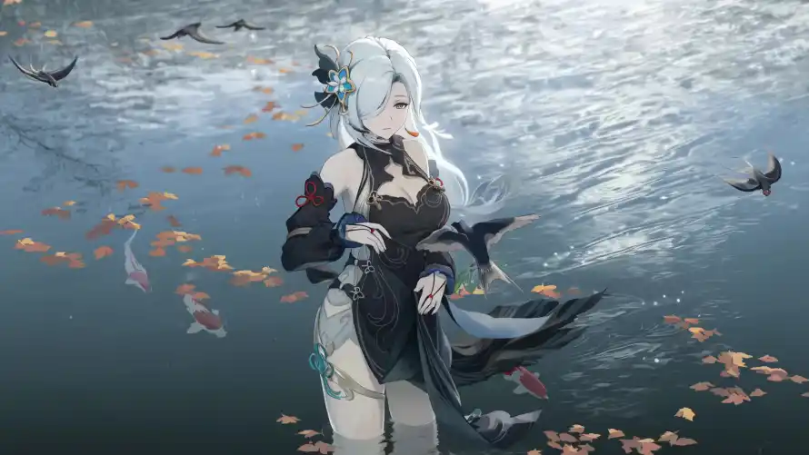 Favorite Image