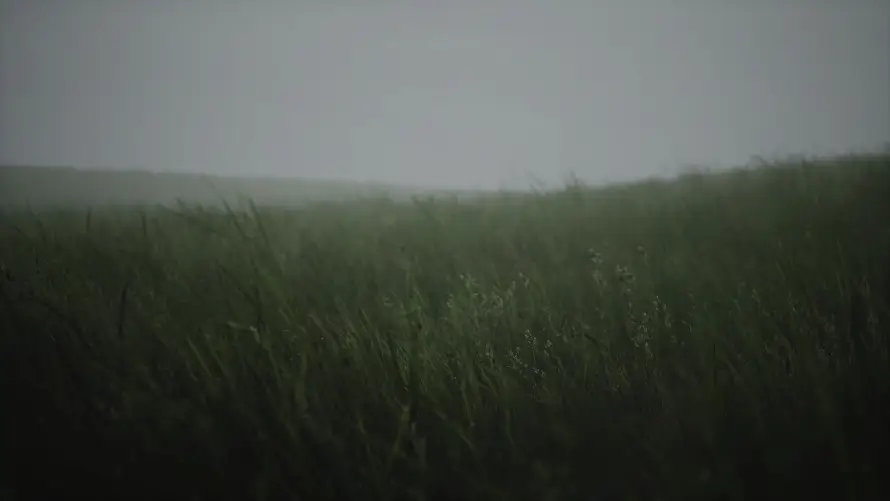 Favorite Image