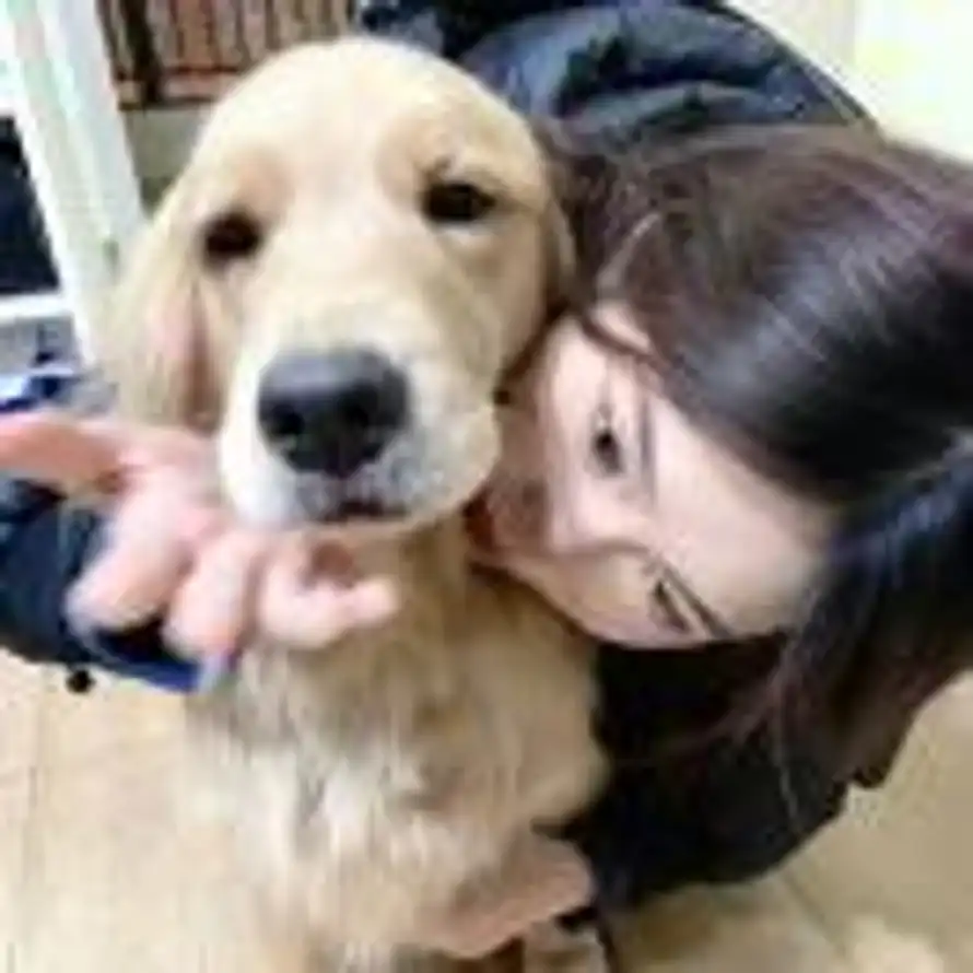 小杨生煎包的头像