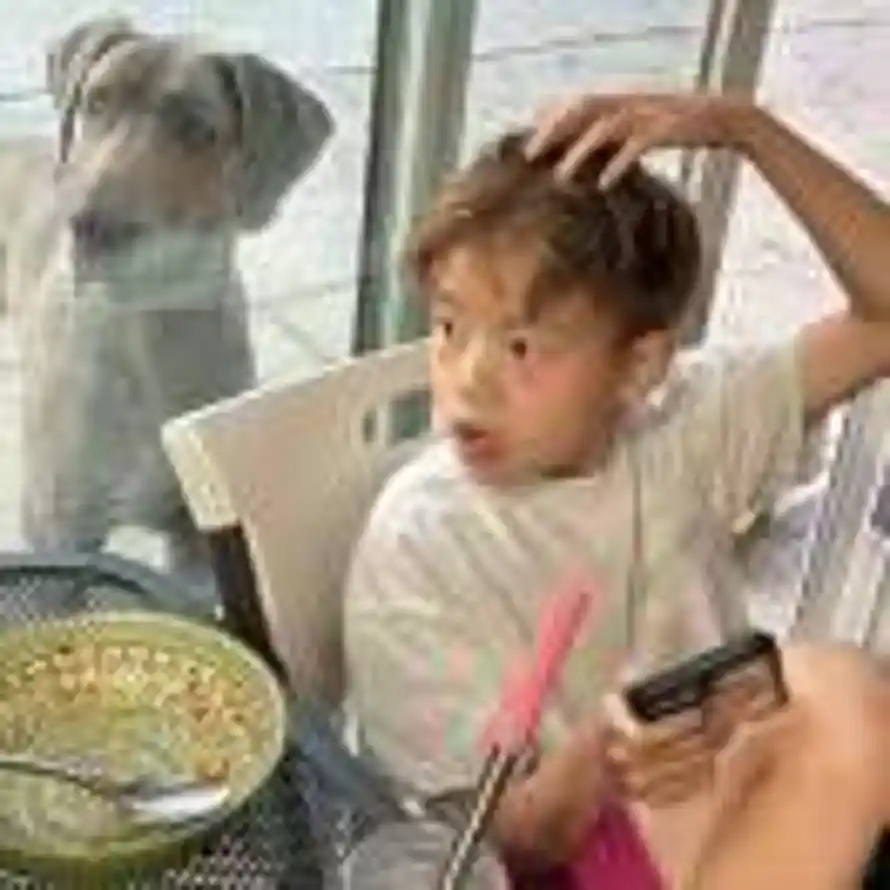 y的头像