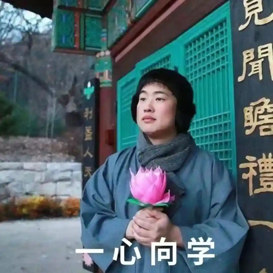 4k佛系壁纸 - 寺庙 - 考研 - 绿色门「哲风壁纸」