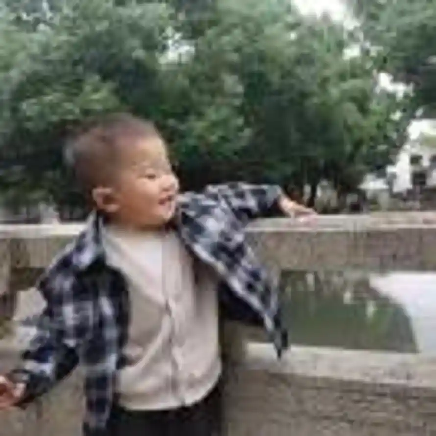 T的头像