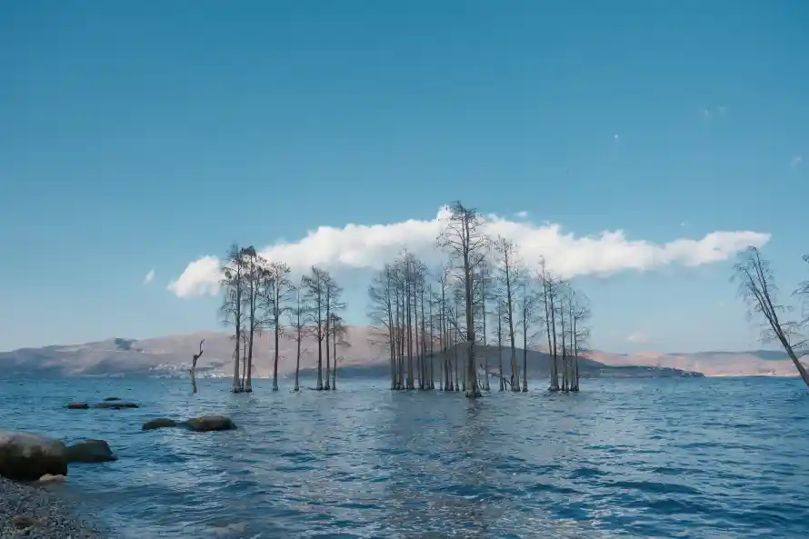 4k山脉壁纸 - 枯树 - 洱海 - 自然「哲风壁纸」 4k山脉壁纸 - 枯树 - 洱海 - 自然「哲风壁纸」