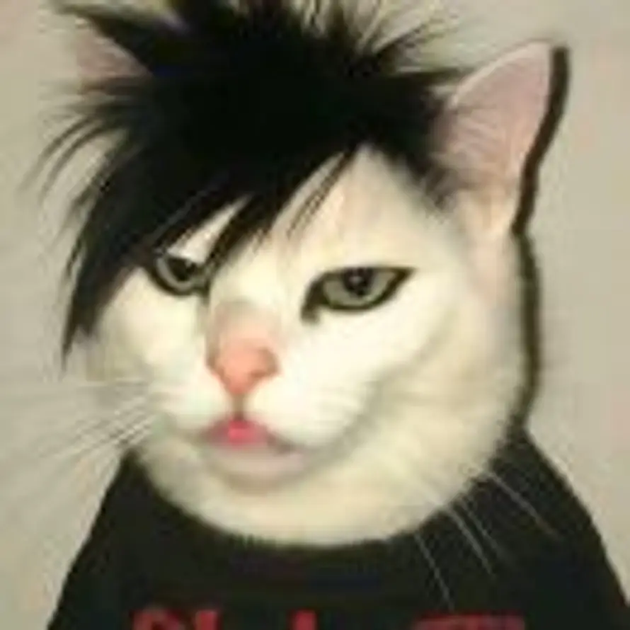 热心市民山哥哥的头像