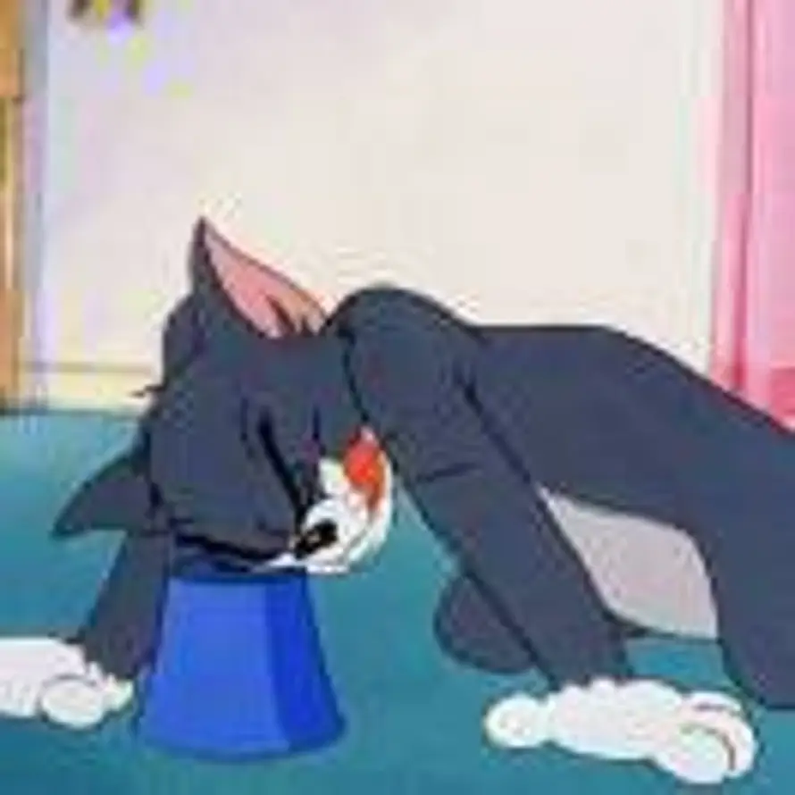 遥相辉映的头像