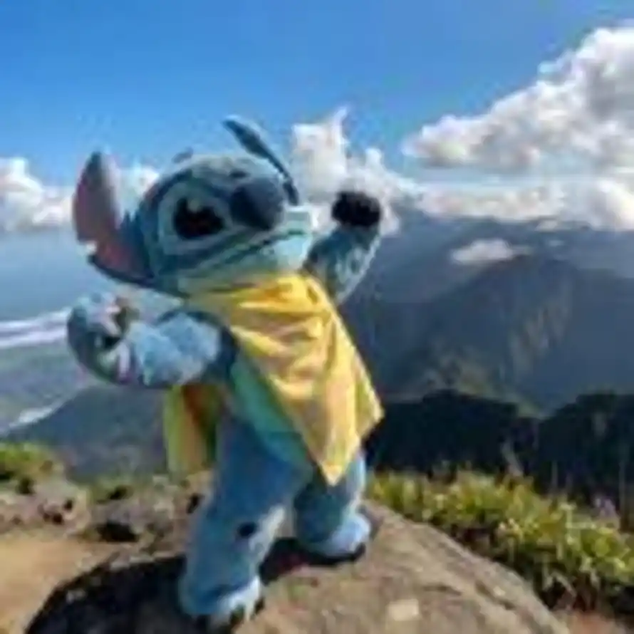 小兔子从百草园走到三味书屋 🌙的头像