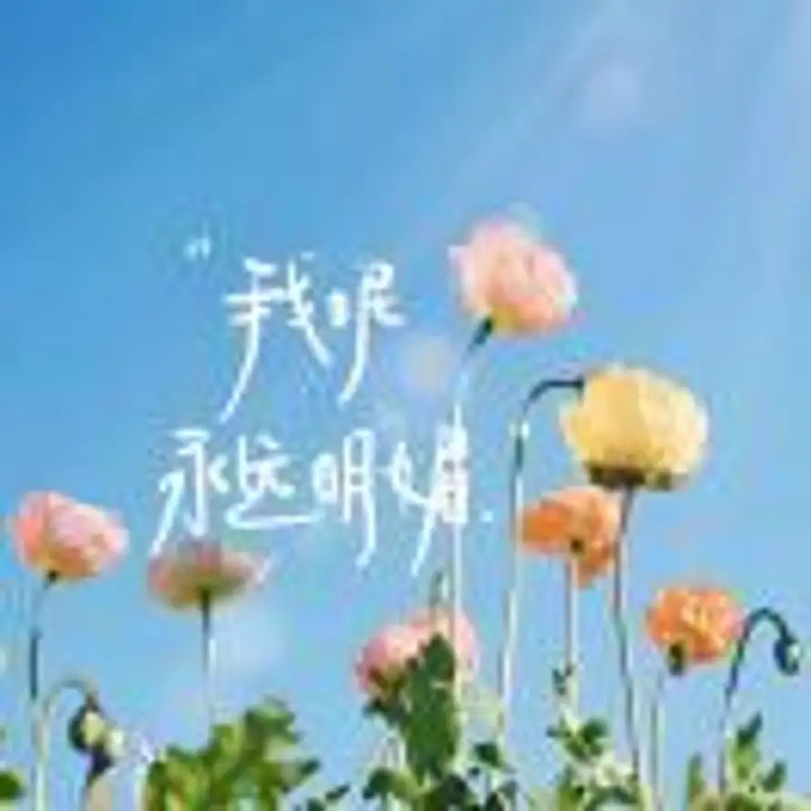 金石为开的头像