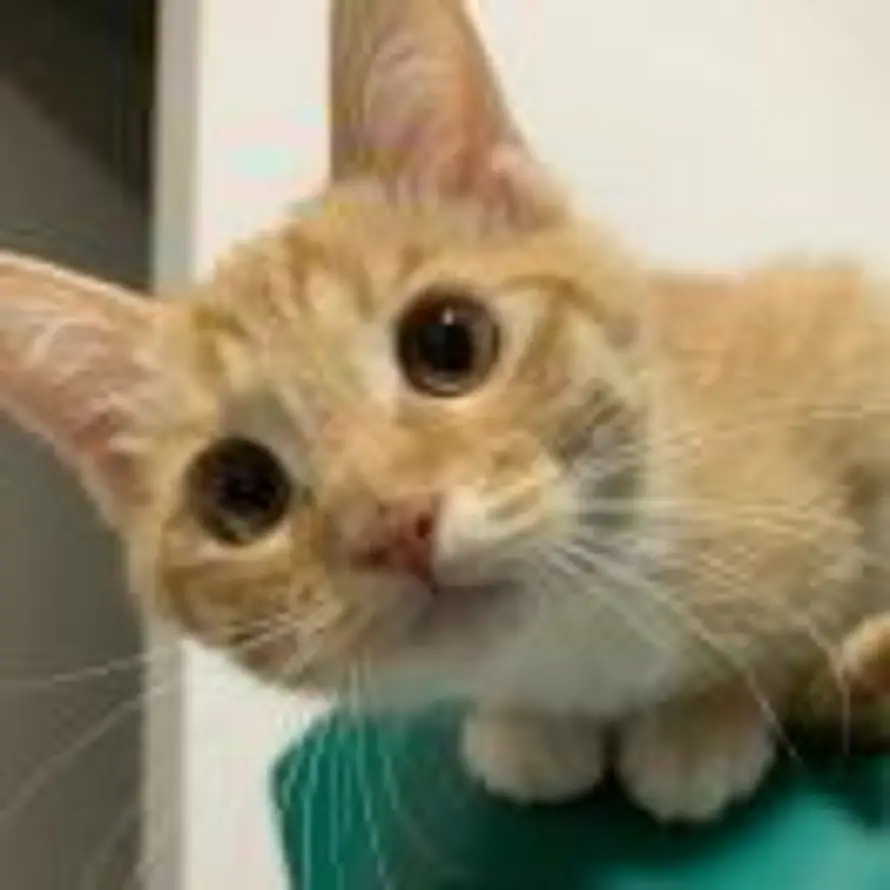 调休滚出拆那的头像