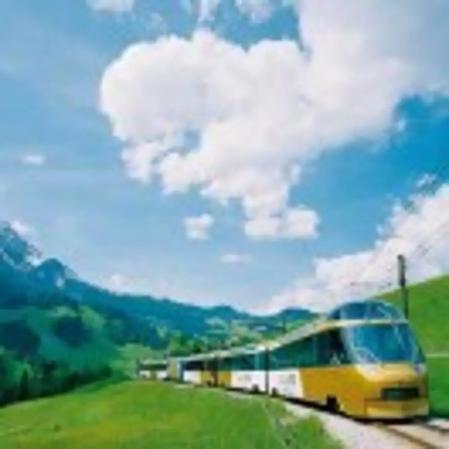 天天开心的头像