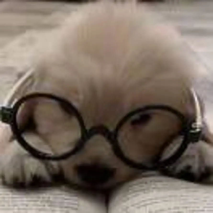 学不完，根本学不完的头像