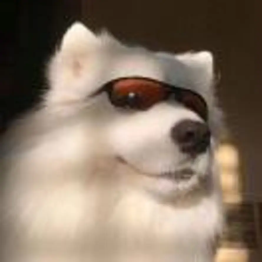 云朵偷喝我酒的头像