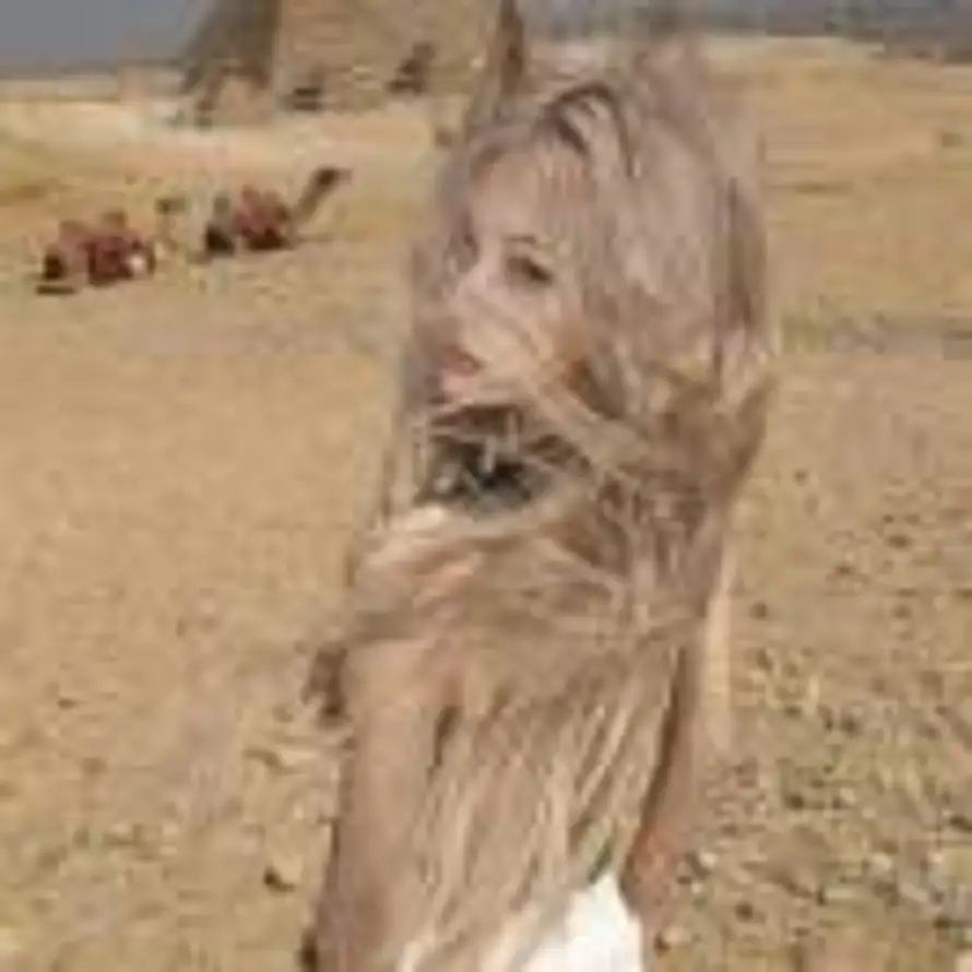 粉条猪猪咯的头像