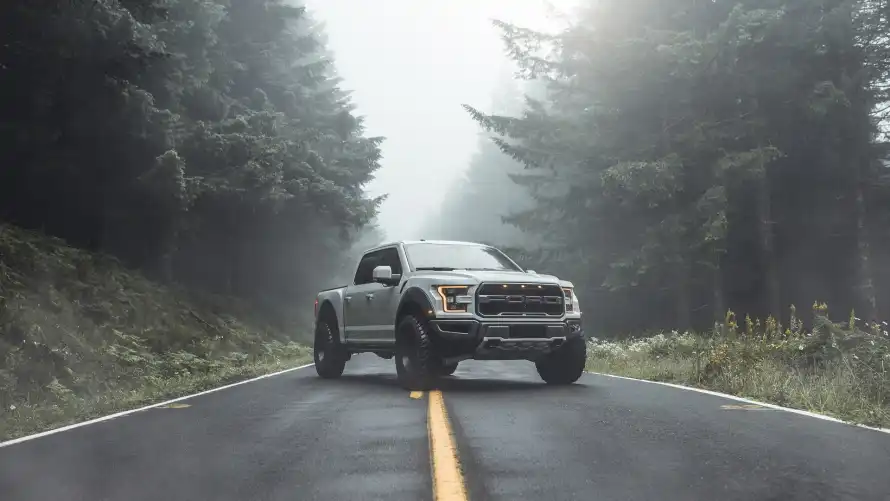 2k森林壁纸-越野车壁纸和雨林-免费下载「哲风壁纸」