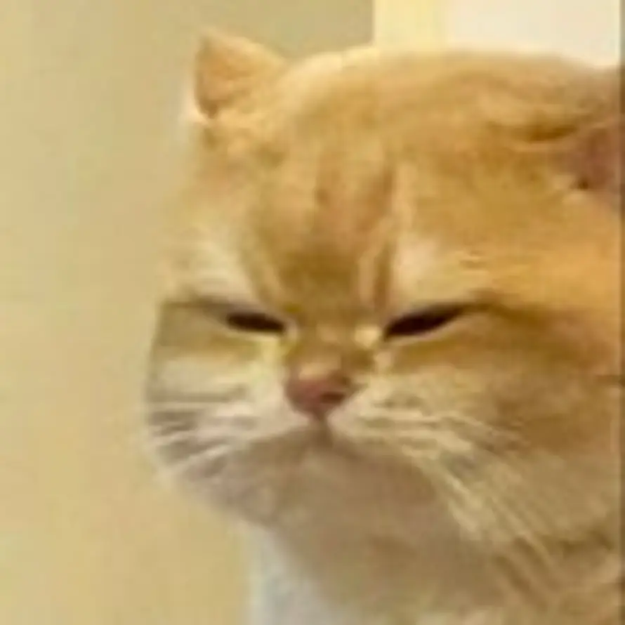 一口焦糖面包的头像