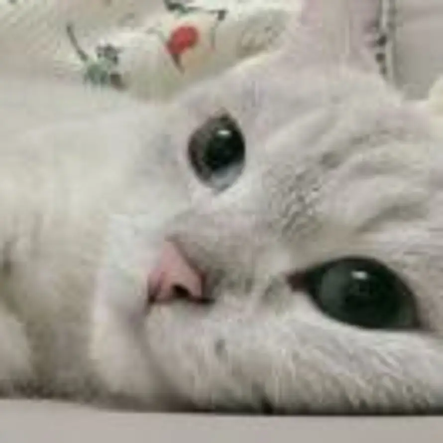 用户 HSY的头像