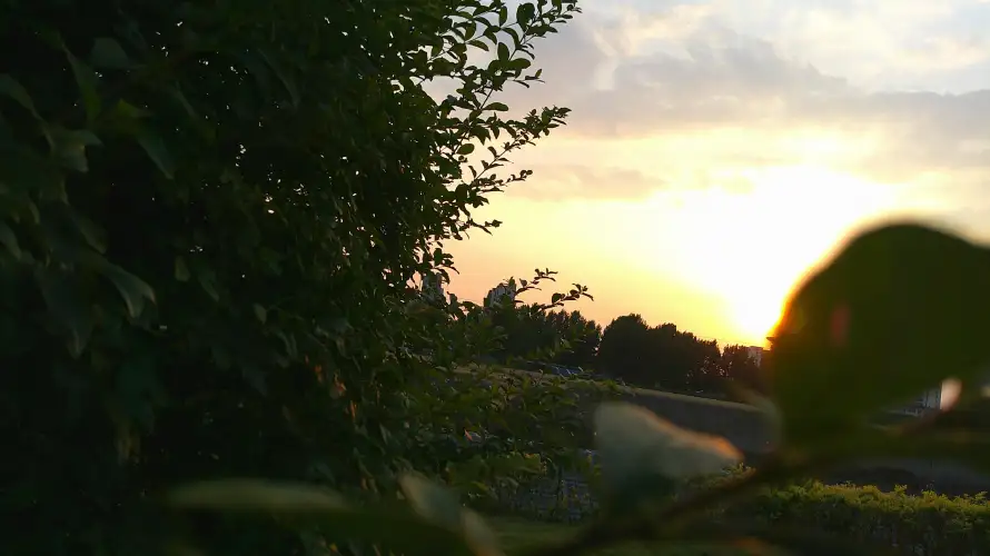 4k夕阳壁纸 - 天空 - 植物 - 田野「哲风壁纸」