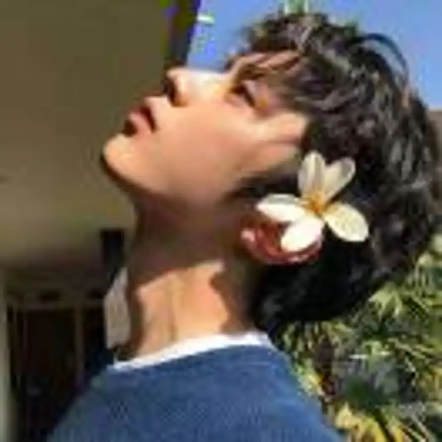 人间清甜的头像