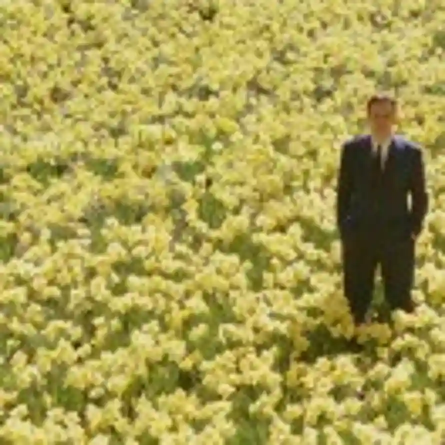 白日妄想家的头像