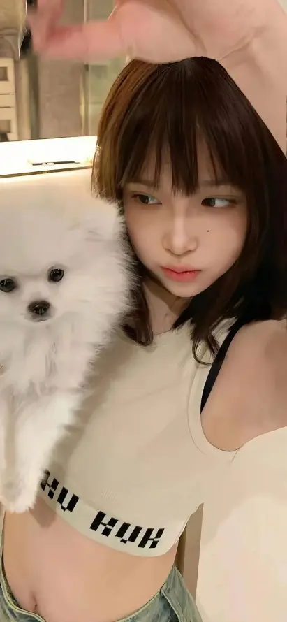 4k室内壁纸 - 美女 - 博美犬 - 白色小狗「哲风壁纸」