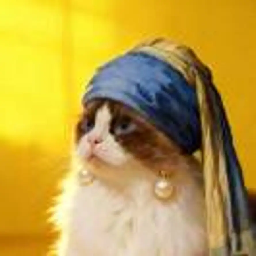 团子爱掉毛的头像