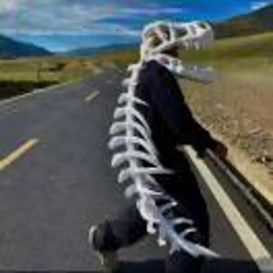 Chéᯅn🔆的头像