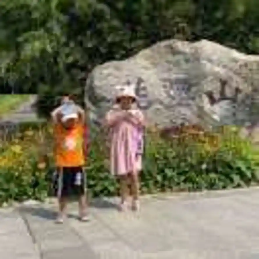 明天的曙光的头像