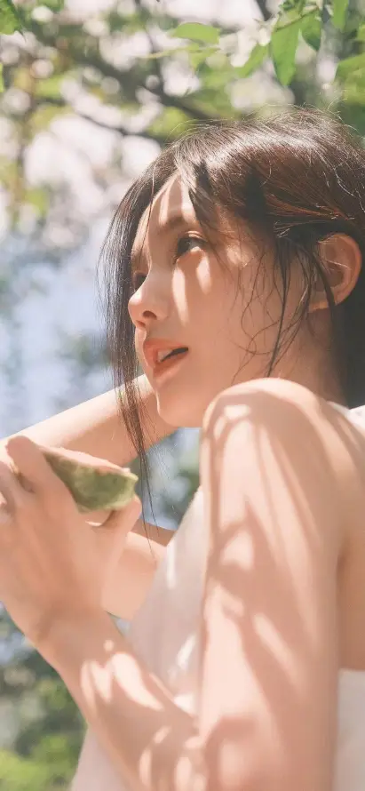 4k光影壁纸 - 户外 - 树荫 - 清新「哲风壁纸」