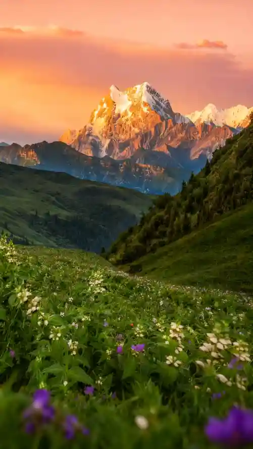 4k山峦壁纸 - 晚霞 - 花海 - 草地「哲风壁纸」