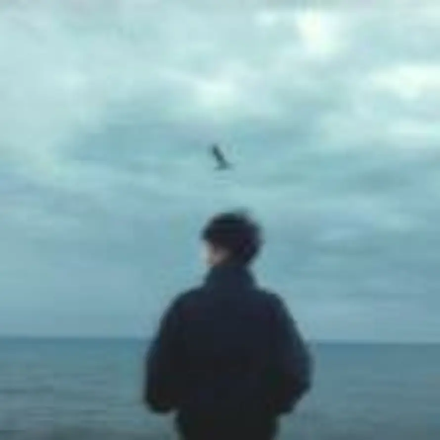 🌊         无解゛、的头像