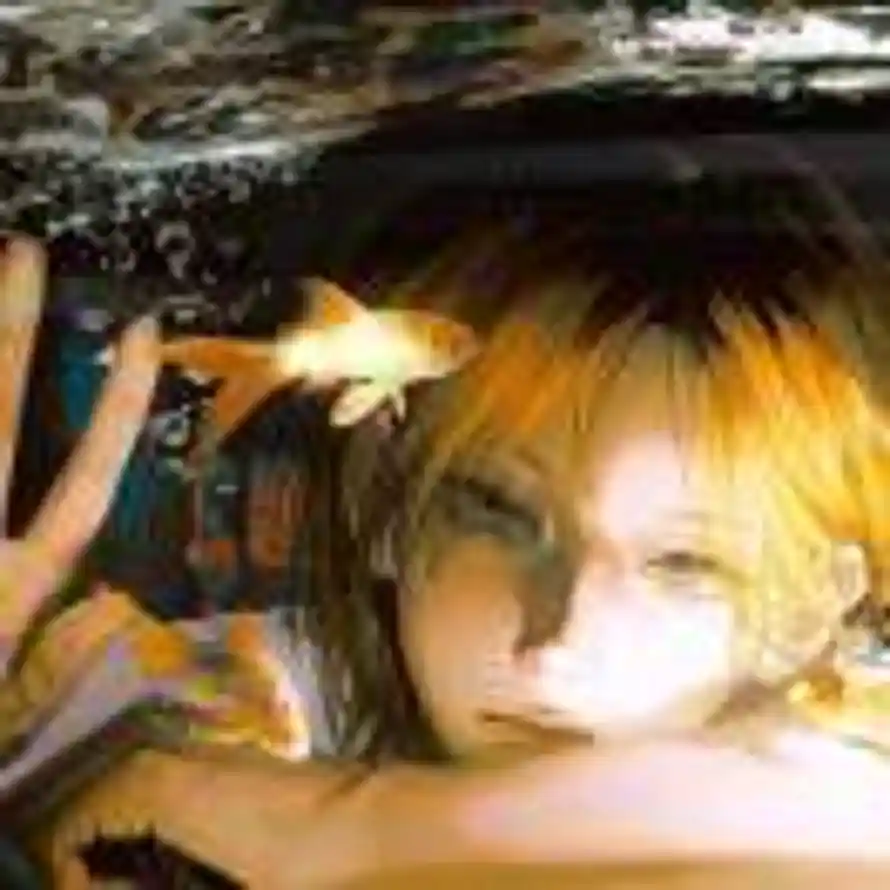 淀粉肠毒唯的头像