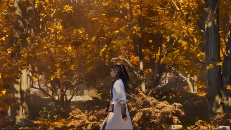 4k古装壁纸 - 树林 - 秋日 - 韩立「哲风壁纸」 4k古装壁纸 - 树林 - 秋日 - 韩立「哲风壁纸」