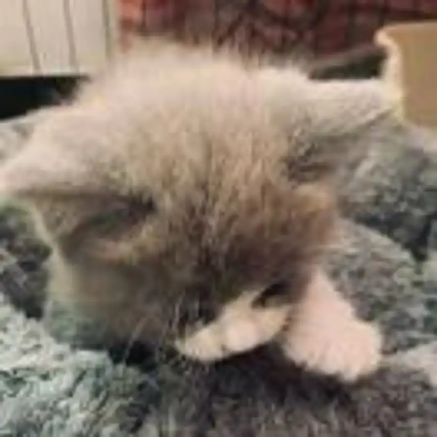 人生百味的头像