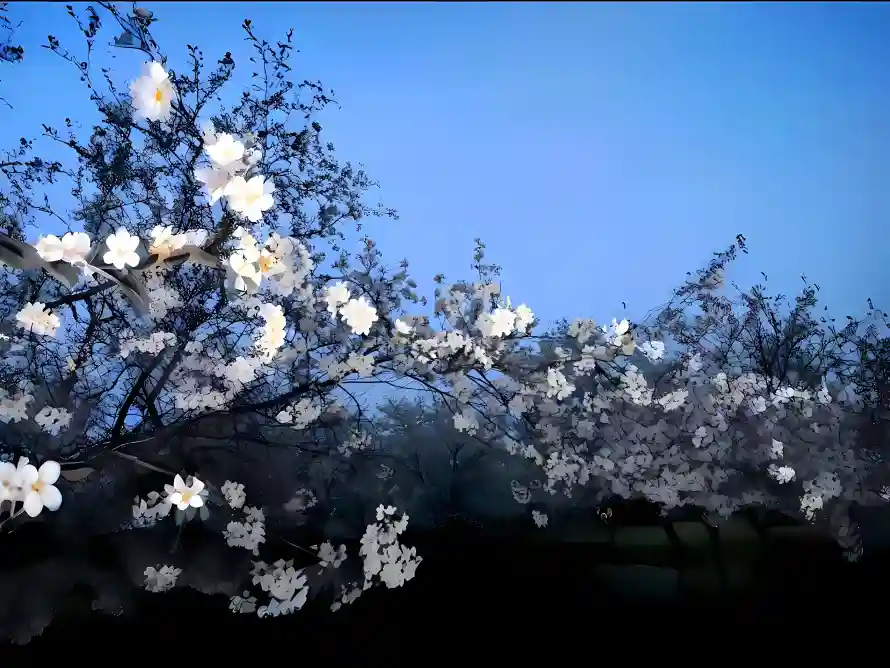 3k春日壁纸-白色花朵与树-自然风景壁纸分享「哲风壁纸」