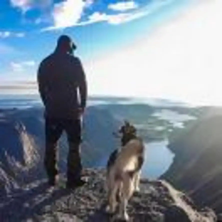 把酒临风的头像