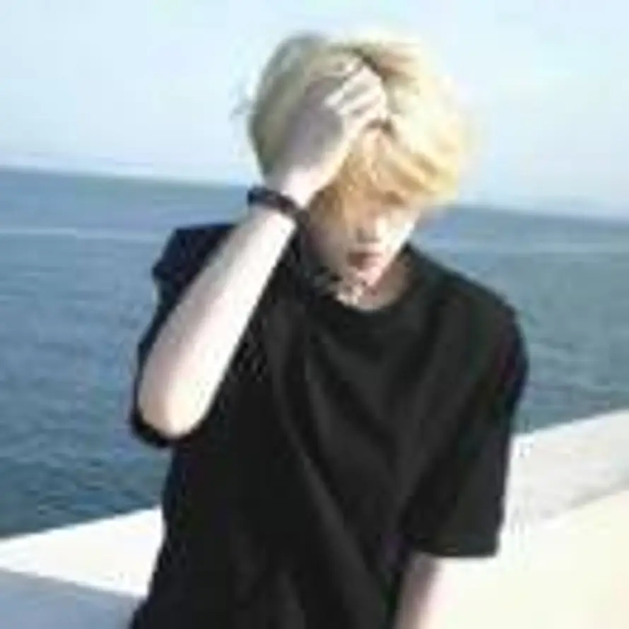 枕叶不睡覺的头像