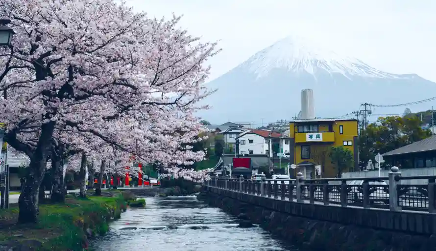4k春景壁纸 - 樱花 - 河流 - 街道「哲风壁纸」 4k春景壁纸 - 樱花 - 河流 - 街道「哲风壁纸」